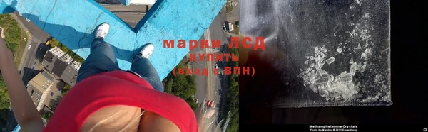 ПСИЛОЦИБИНОВЫЕ ГРИБЫ Сосновый Бор
