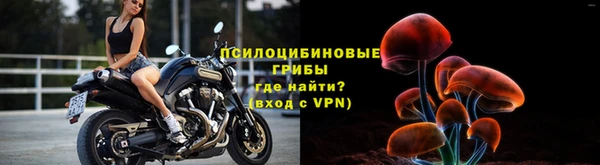 трава Балахна