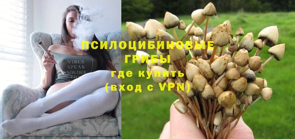 трава Балахна