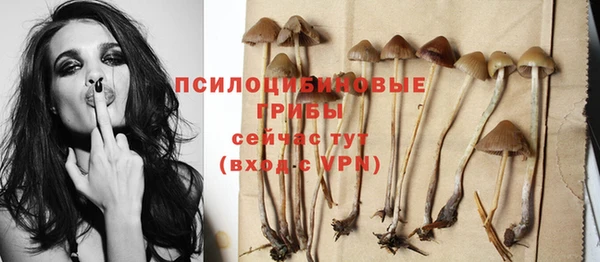 ПСИЛОЦИБИНОВЫЕ ГРИБЫ Сосновый Бор